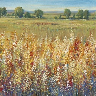 Gold and Red Field I