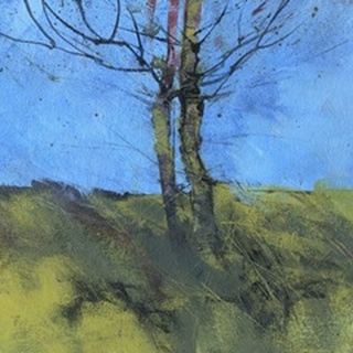 Heathland Tree Study