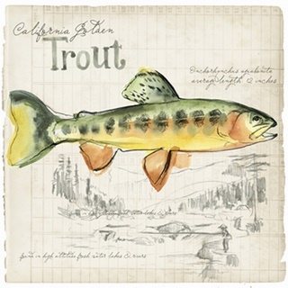 Trout Journal IV