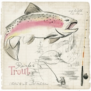 Trout Journal I