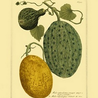 Antique Melons II