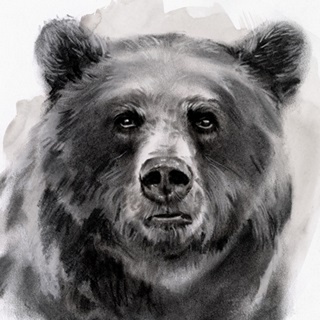 Bear Grin II