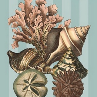 Shell and Coral on Aqua I