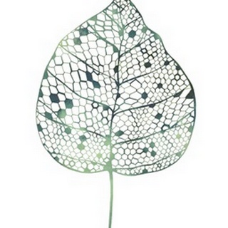 Veiled Leaf II
