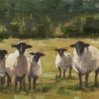 Sheep Family I