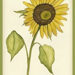 French Country Sunflower Collection B