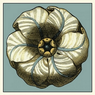 Floral Medallion IV