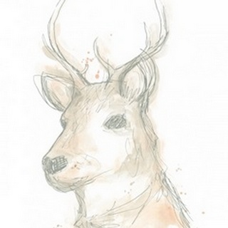 Deer Cameo III