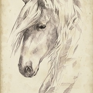 Horse Portrait Sketch II