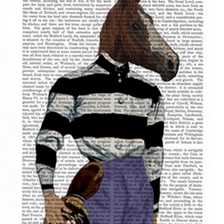 Horse Racing Jockey Portrait