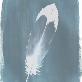 Feathers on Dusty Teal VII