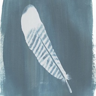 Feathers on Dusty Teal VI