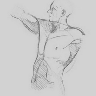 Male Torso Sketch IV