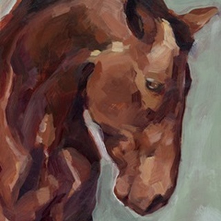 Paint by Number Horse II