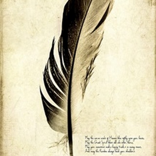 Feather on the Wind III