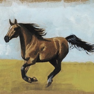 Equestrian Studies II