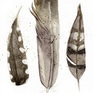 Earthtone Feathers II