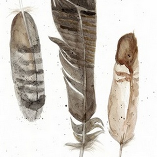 Earthtone Feathers I