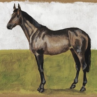 Equestrian Studies IV