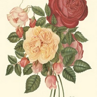Vintage Roses I