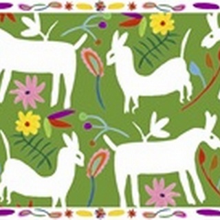 Modern Otomi Collection D