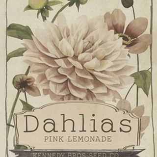 Vintage Seed Packets IV