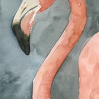 Flamingo Study II