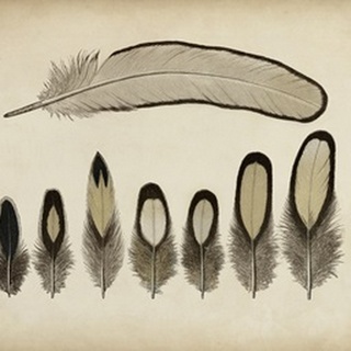 Vintage Feathers IX