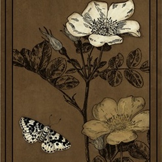 Gilded Blossom IV