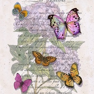Hydrangea Butterflies II