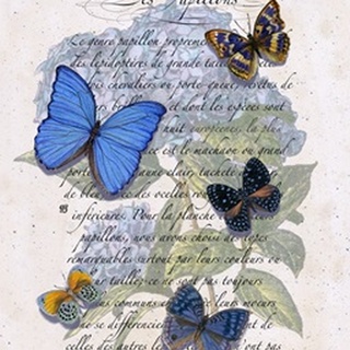 Hydrangea Butterflies I
