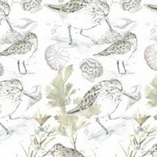 Seaside Sandpipers Collection E