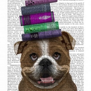 English Bulldog And Books