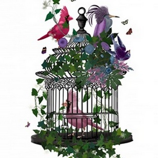 Flower Birdcage 1