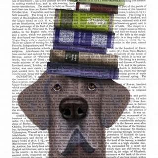 Great Dane and Books