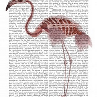 Flamingo Skeleton