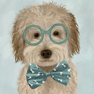 Labradoodle, Cream, with Glasses and Bow Tie