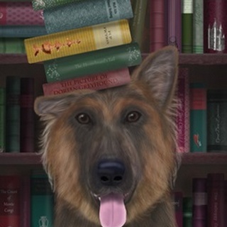 German Shepherd and Books