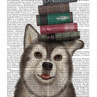 Husky and Books