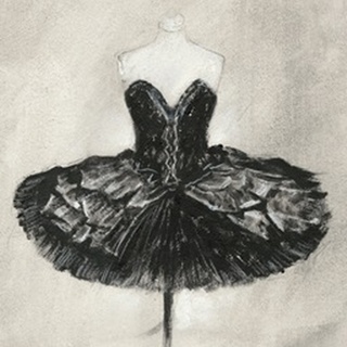 Black Ballet Dress I