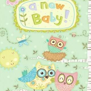 Baby Owl II