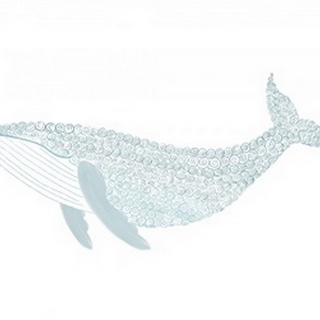 Swirly Whale