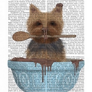 Yorkshire Terrier Cake Bowl Book Print