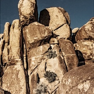 Outcroppings III