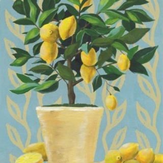 Opulent Citrus I
