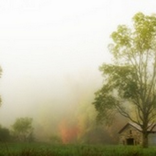 Fog at the Farm