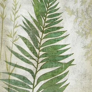 Frond I