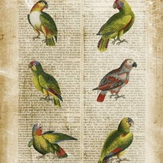 Antiquarian Parrots II