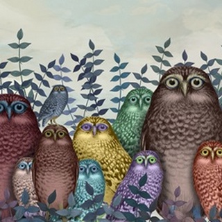 Fab Funky Owl Fun Collection A