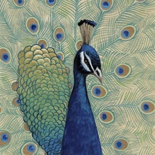 Blue Peacock I